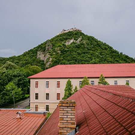Pensiunea Vila Europa Deva Bagian luar foto