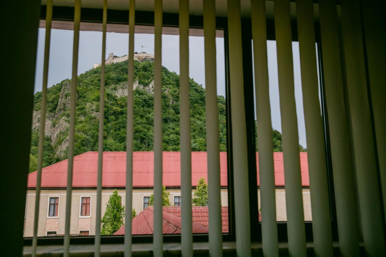 Pensiunea Vila Europa Deva Bagian luar foto