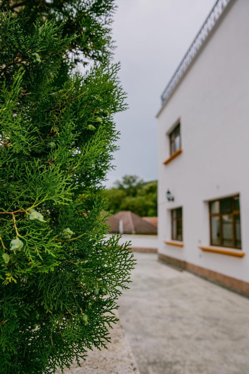 Pensiunea Vila Europa Deva Bagian luar foto