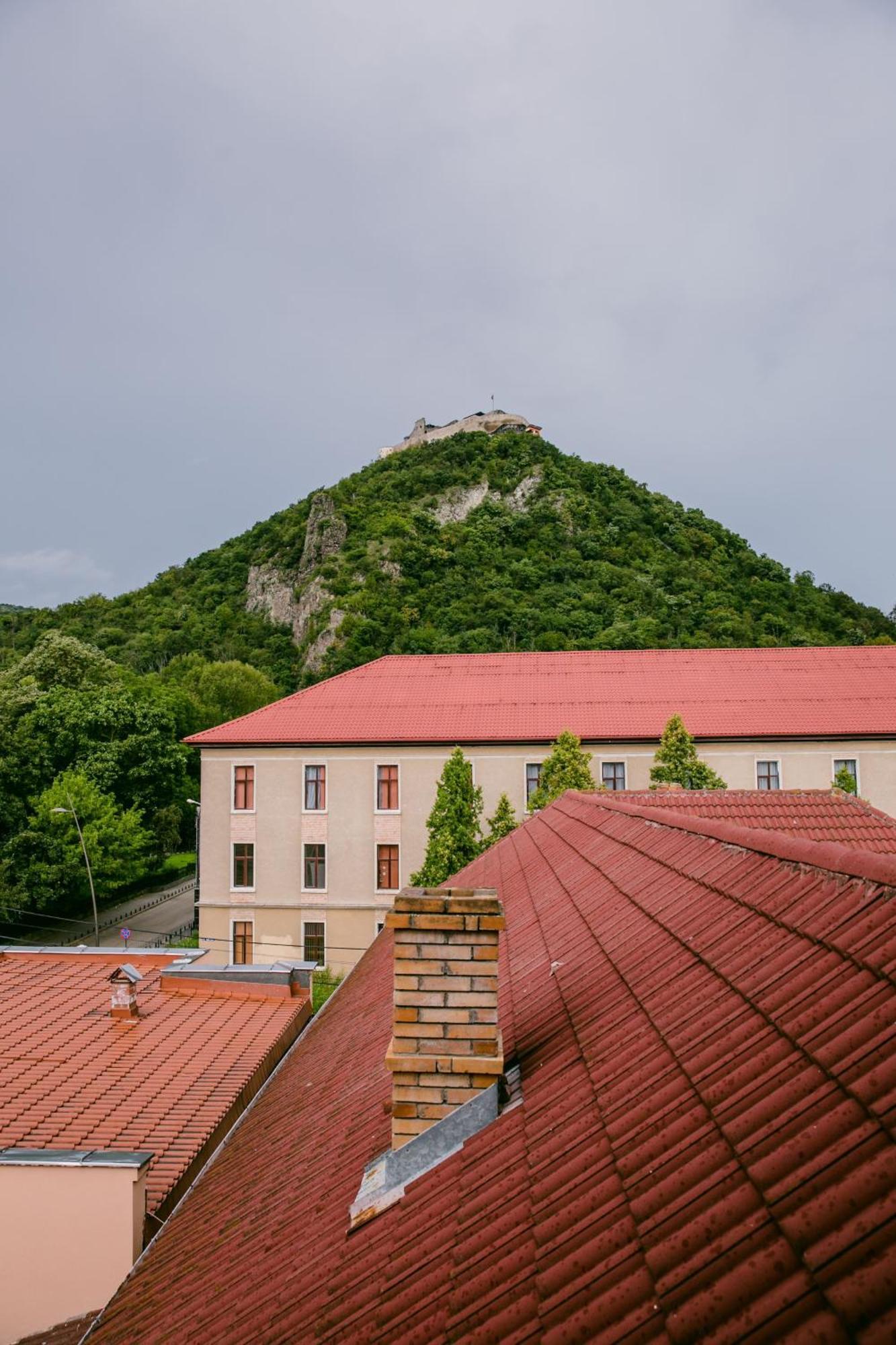 Pensiunea Vila Europa Deva Bagian luar foto