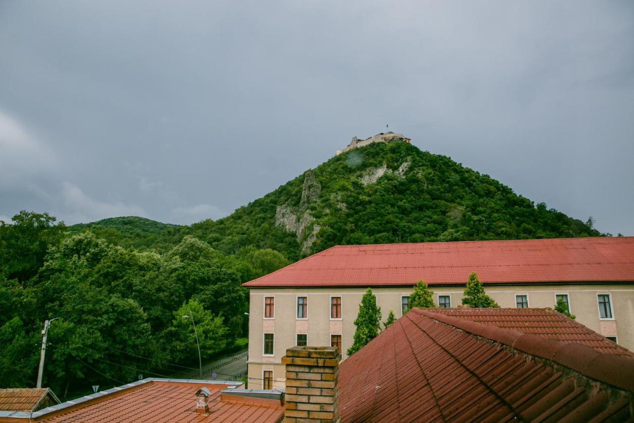 Pensiunea Vila Europa Deva Bagian luar foto