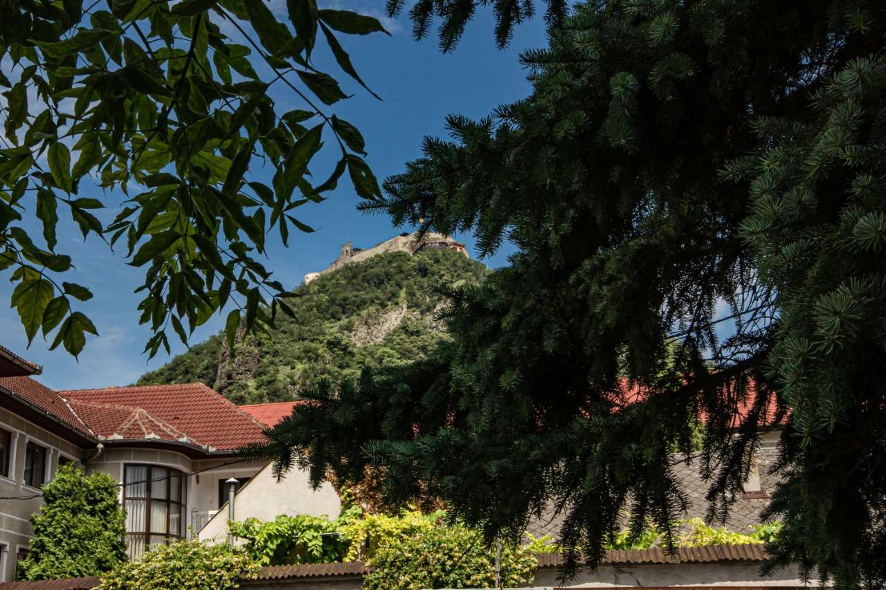 Pensiunea Vila Europa Deva Bagian luar foto